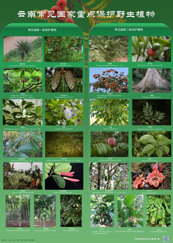 �԰��շ���Σ�������ص㱣����ֲ����